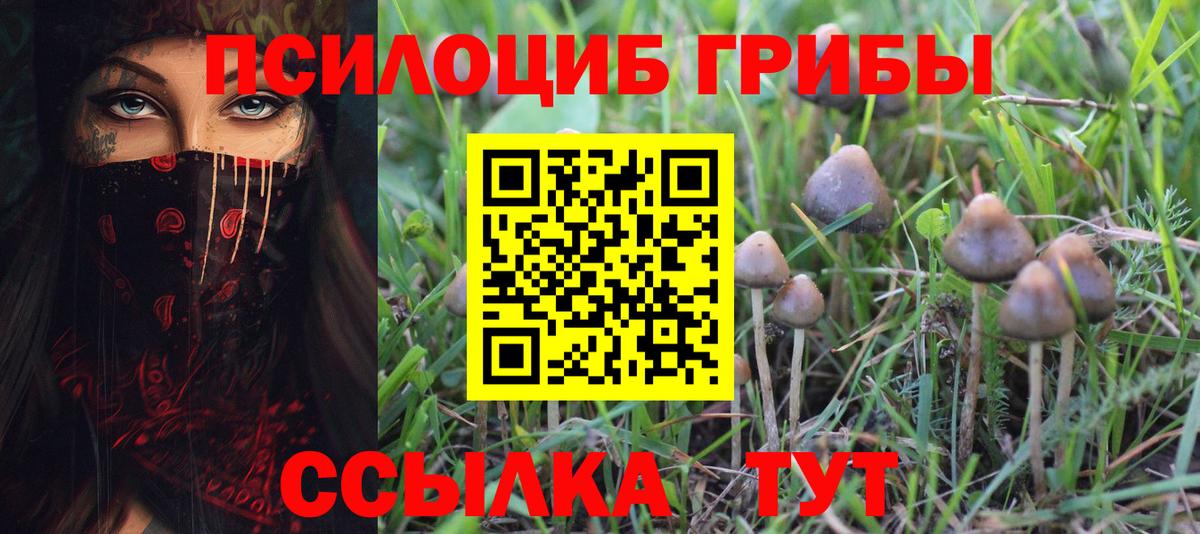 Артём  Галлюциногенные грибы Cubensis  Вход с VPN 