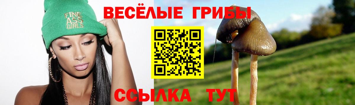 продажа наркотиков  Артём  Галлюциногенные грибы Psilocybine cubensis 